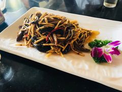 -丁老爷子苏香圆
