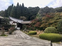-西芳寺(苔寺)