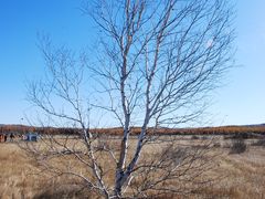 -塞罕坝国家级自然保护区