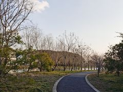 -广富林郊野公园