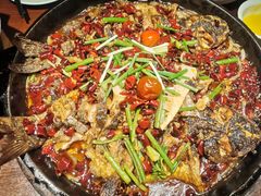 老板恋上鱼-老板恋上鱼(高新万达店)