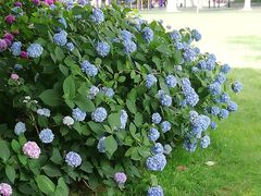 -常州古运河南大街文化旅游区-人民公园