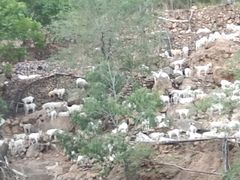 -白草畔自然风景区