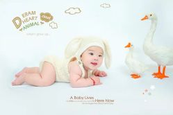 -卡卡西婴童摄影(虎门万达店)