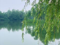 -洋湖国家湿地公园