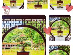 -深圳仙湖植物园
