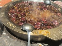 -堂客老火锅(欣阳广场总店)