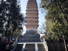 -洛阳白马寺