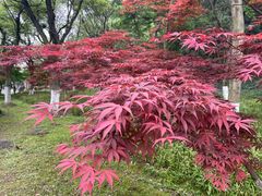 -幕燕滨江·长江观音景区