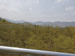 -陶祖圣境风景区