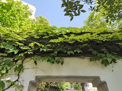 -上海醉白池公园