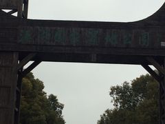 -溱湖国家湿地公园