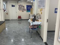 -芭比堂动物医院·CT·微创中心(新顺分院)