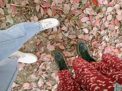 -白鹭湾湿地公园