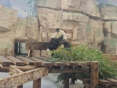 -无锡动物园·太湖欢乐园
