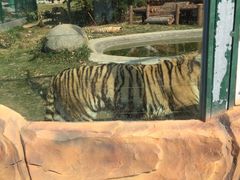 -泉州海丝野生动物世界