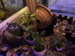 -古都梅按摩足浴(世界广场店)