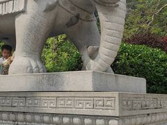 -阳台山森林公园
