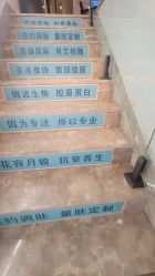 -阅年轻·AI家庭健康体质调理