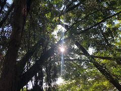 -福田红树林生态公园