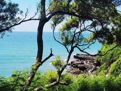 -北海金海湾红树林生态旅游区