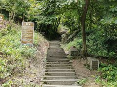 -岣嵝峰国家森林公园