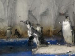 -太平洋海底世界