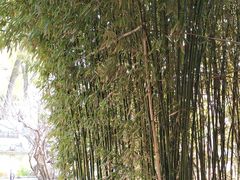 -碑林公园