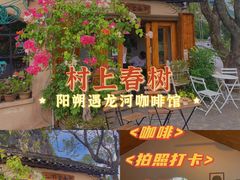 -村上春树