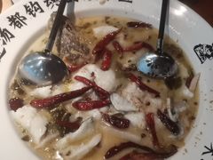 -宋小谨(惠安禹洲店)