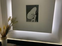 -蚂蚁造型俱乐部
