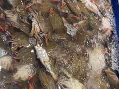 -海天盛宴新派海鲜自助餐厅(群力店)
