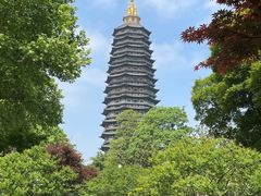 -红梅公园