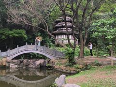 -深圳国际园林花卉博览园