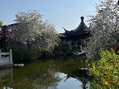 -梅园