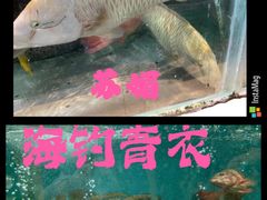 -欧记·龙城港(欣都店)