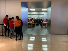 -Apple零售店(深圳益田假日广场店)