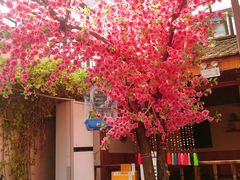 -丽江庭院之爱在路上(西单店)