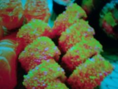 -锦亭料理