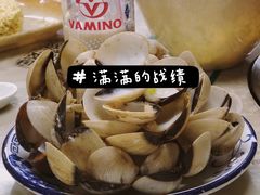 -顺德哥卜卜贝(旗舰店)