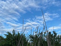 -肯德基(安定门店)