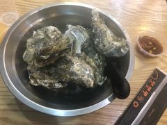-爱蚝屋