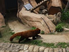 -临沂动植物园