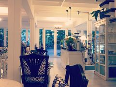 -Fern Forest Cafe