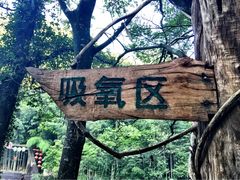 -祁门牯牛降观音堂风景区