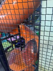 -欧酷世界动力星球(王府井奥莱UP TOWN店)