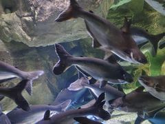 -多彩贵州城极地海洋世界