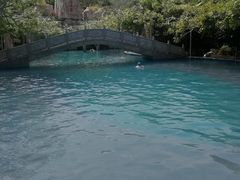 -鞍山岫岩沟汤温泉
