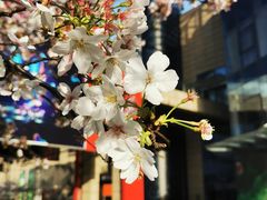 -绿地风尚天地广场