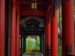 -顺峰山公园
